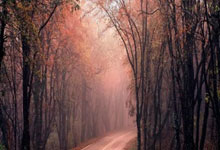 熊猫体育：全运会乒乓球资格赛：3月21日赛程公布！林高远出战王楚.