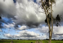 熊猫体育：泰山队今日出征梅州 王大雷李源一提前抵达.