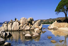 足球女超联赛：辽宁沈北禾丰胜武汉车谷江大.